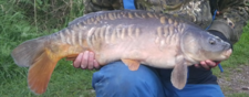 avington Angling Club Carp