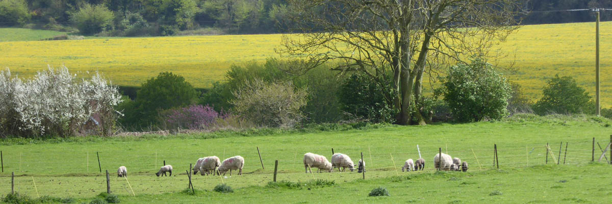 Great Cheverell Wiltshire